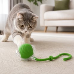 NonoPets Long Rope & Feather Ball Cat Toy, Green