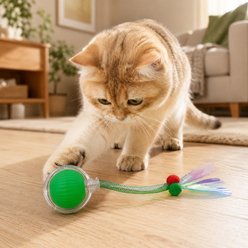 NonoPets Squeaky Ball with Feather Cat Toy, Green