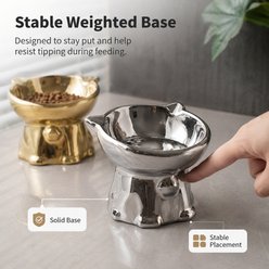 NonoPets Mirror-Finish Tilted Raised Electroplated Dishwasher Safe Elevated Ceramic Dog & Cat Bowl with Sturdy Weighted Base, 1.04-cup, Gold slide 2 of 9