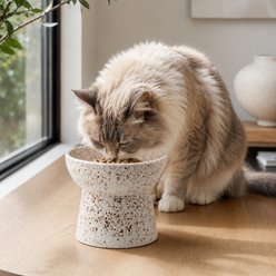 NonoPets Speckled Raised Lead Free Dishwasher Safe Elevated Ceramic Dog & Cat Bowl with Stable Anti-Tip Base, 1.25-cup, Brown