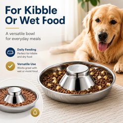 NonoPets Raised Center Anti-Choking Dishwasher Safe Lead Free Stainless Steel Slow Feeder Dog & Cat Bowl, 8-cup, 10 x 2.4-in slide 2 of 9