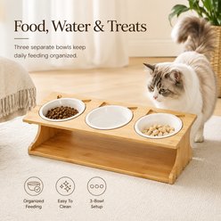 NonoPets Raised Triple Dishwasher Safe Microwavable Removable Elevated Ceramic Dog & Cat Bowls with Bamboo Stand, 2.13-cup, 20.1 x 6.9 x 5.1-in slide 2 of 9