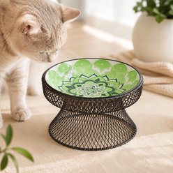 NonoPets Bohemian Wide Shallow Raised Dishwasher Safe Microwavable Lead Free Removable Elevated Ceramic Dog & Cat Bowl with Stable Mesh Stand, 1.04-cup, Green