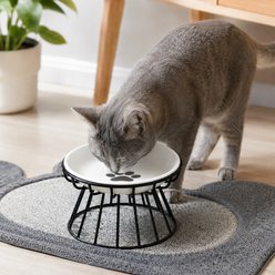 NonoPets Cat Paw Wide Shallow Raised Dishwasher Safe Microwavable Lead Free Removable Elevated Ceramic Dog & Cat Bowl with Metal Stand, 1.04-cup