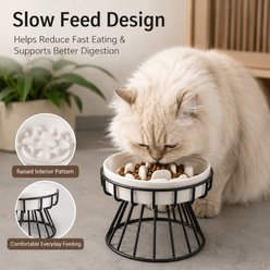 NonoPets Raised Dishwasher Safe Lead Free Microwavable Elevated Ceramic Slow Feeder Dog & Cat Bowl, 1.17-cup slide 2 of 9