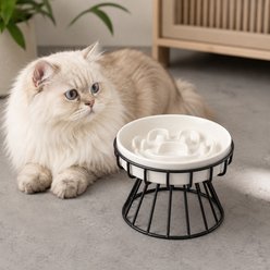 NonoPets Raised Dishwasher Safe Lead Free Microwavable Elevated Ceramic Slow Feeder Dog & Cat Bowl, 1.17-cup