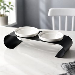 NonoPets Double Elevated Dishwasher Safe Lead Free Microwavable Ceramic Dog & Cat Bowls with Modern Metal Stand, 3.3-cup
