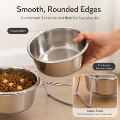 NonoPets Raised Double Rust-Proof & Dishwasher Safe Elevated Stainless Steel Dog & Cat Bowls with Metal Stand, Large slide 2 of 9