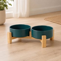 NonoPets Elevated Raised Double Microwavable Lead Free Dishwasher Safe Ceramic Dog & Cat Bowls with Bamboo Stand, 6.8-cup, Green