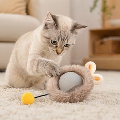 NonoPets Squeaky Plush Ball Pendant Cat Toy, Grey