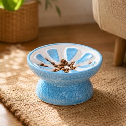 NonoPets Fruit-Style Raised Dishwasher Safe Lead Free Elevated Ceramic Slow Feeder Dog & Cat Bowl, 0.83-cup, Blue