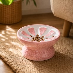 NonoPets Fruit-Style Raised Dishwasher Safe Lead Free Elevated Ceramic Slow Feeder Dog & Cat Bowl, 0.83-cup, Pink