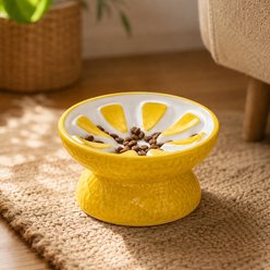 NonoPets Fruit-Style Raised Dishwasher Safe Lead Free Elevated Ceramic Slow Feeder Dog & Cat Bowl, 0.83-cup, Yellow