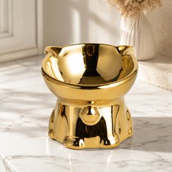 NonoPets Mirror-Finish Tilted Raised Electroplated Dishwasher Safe Elevated Ceramic Dog & Cat Bowl with Sturdy Weighted Base, 1.04-cup, Gold slide 1 of 9
