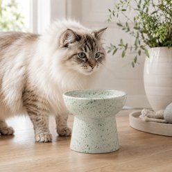 NonoPets Speckled Raised Lead Free Dishwasher Safe Elevated Ceramic Dog & Cat Bowl with Stable Anti-Tip Base, 1.25-cup, Green
