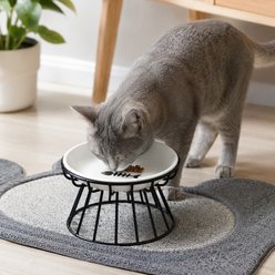 NonoPets Fish Bone Wide Shallow Raised Dishwasher Safe Microwavable Lead Free Removable Elevated Ceramic Dog & Cat Bowl with Metal Stand, 1.04-cup