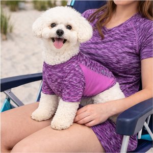 Pet Life Active Warf Speed Heathered Ultra-Stretch Sporty Performance Dog T-Shirt, Purple Heather/Purple, Small