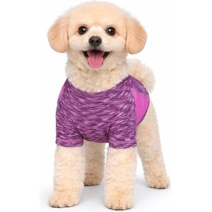 Pet Life Active Warf Speed Heathered Ultra-Stretch Sporty Performance Dog T-Shirt, Purple Heather/Purple, Small
