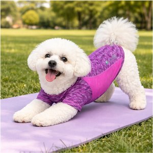 Pet Life Active Warf Speed Heathered Ultra-Stretch Sporty Performance Dog T-Shirt, Purple Heather/Purple, Small