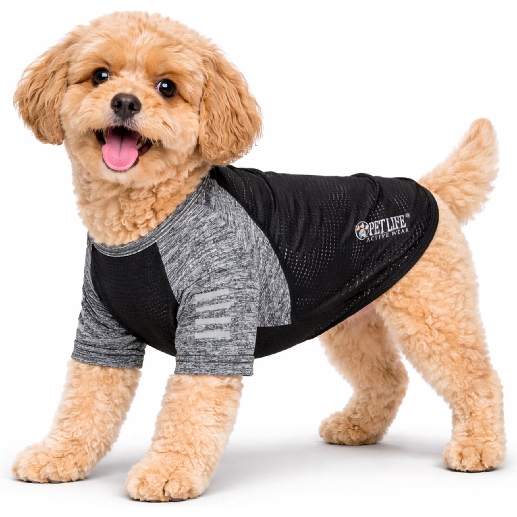 Pet Life Active Hybreed 4-Way Stretch Two-Toned Performance Dog T-Shirt, Black/Grey, Large