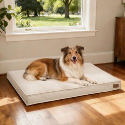 BingoPaw Deluxe Mattress Orthopedic Pillow Dog & Cat Bed with Removable & Washable Linen Cover, Khaki, X-Large
