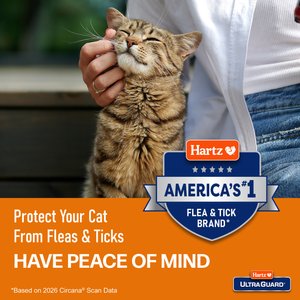 Hartz UltraGuard Flea & Tick Collar for Cats, 1 Collar (7-mos. supply), Purple