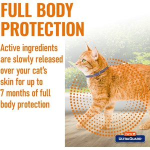 Hartz UltraGuard Flea & Tick Collar for Cats, 1 Collar (7-mos. supply), Purple