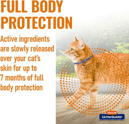 Show full view: Hartz UltraGuard Flea & Tick Collar for Cats, 1 Collar (7-mos. supply), Purple slide 4 of 7