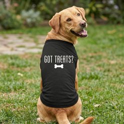 Doggie Design Got Treats Graphic Dog Shirt, Black, XXX-Large slide 2 of 3