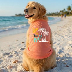 Doggie Design Gone To The Beach Graphic Dog Shirt, Coral, Small slide 2 of 3