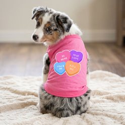 Doggie Design Conversation Hearts Graphic Dog Shirt, Raspberry Sorbet, XX-Large slide 2 of 3