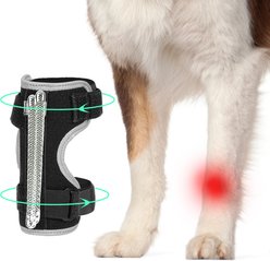 Supet Adjustable Reflective Front Leg Dog Brace Ankle Wrap with Removable Metal Springs, Large