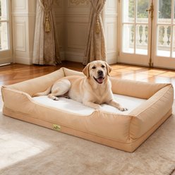 BingoPaw Orthopedic Bolster Dog Bed, Yellow, XXX-Large slide 1 of 9