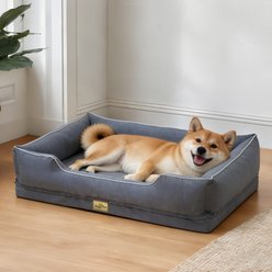 BingoPaw Orthopedic Bolster Dog Bed, Grey, Large