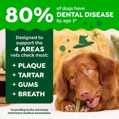 Show full view: Greenies Pumpkin Spice Flavor Dental Dog Treats, 6 count slide 4 of 10