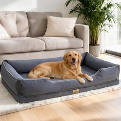 BingoPaw Orthopedic Bolster Dog Bed, Grey, XXX-Large