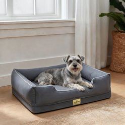 BingoPaw Orthopedic Bolster Dog Bed, Grey, Medium