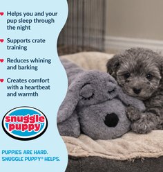 Snuggle Puppy Small Breeds Plush Dog Toy, Gray slide 2 of 8