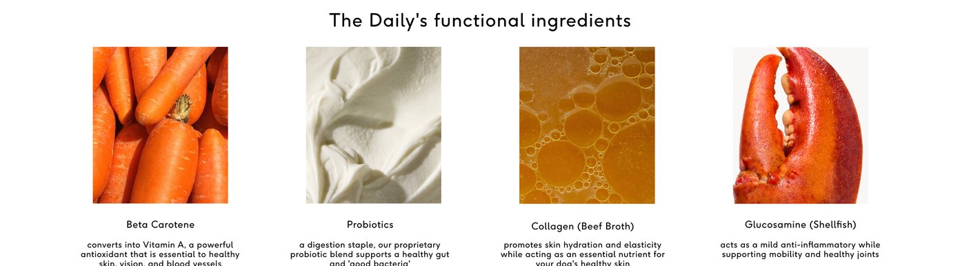 The Daily’s functional ingredients. Beta Carotene converts into Vitamin A, a powerful antioxidant that is essential to healthy skin, vision, and blood vessels. Probiotics, a digestion staple, our proprietary probiotic blend supports a healthy gut and “good bacteria”. Collagen (Beef Broth) promotes skin hydration and elasticity while acting as an essential nutrient for your dog’s healthy skin. Glucosamine (Shellfish) acts as a mild anti-inflammatory while supporting mobility and healthy joints.