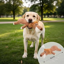 Potaroma Corn Fleece Wolf & Lion Animals Plush Squeaky Dog Chew Toy, Multicolor, 2 count slide 2 of 7