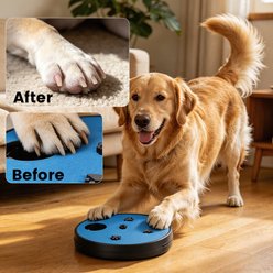 Mora Pets Scratch Board Dog Nail File with Puzzle Toy & Treat Box, 13-in slide 2 of 6