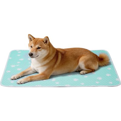 Mora Pets Mora Pets Anti-Slip Bottom Summer Cooling Washable Dog Crate Mat Bed, Green, Medium