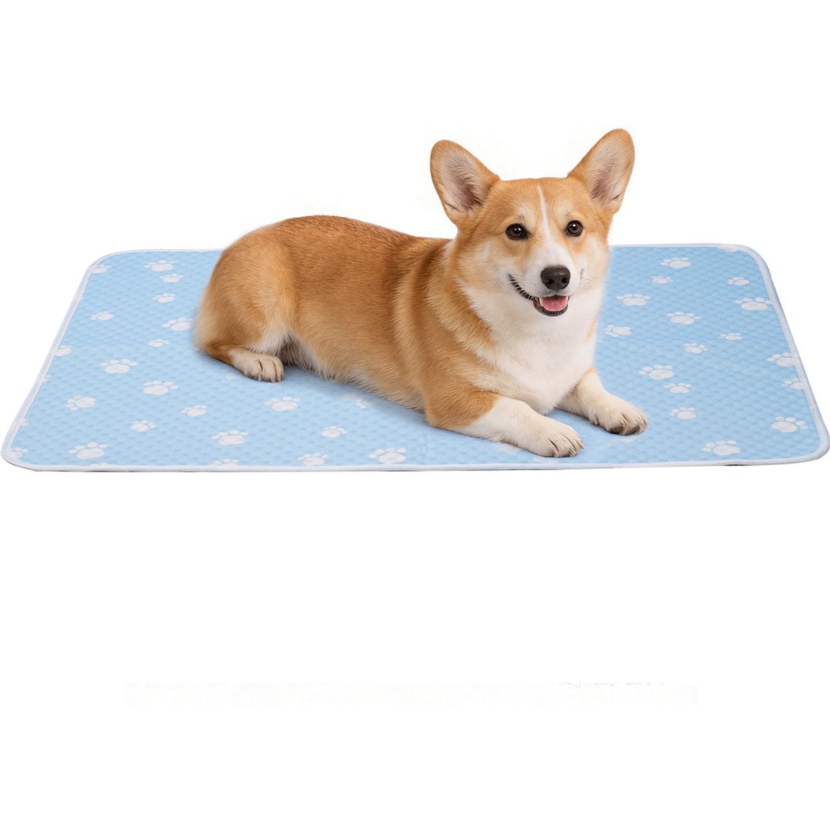 Mora Pets Anti-Slip Bottom Summer Cooling Washable Dog Crate Mat Bed, Blue, Small