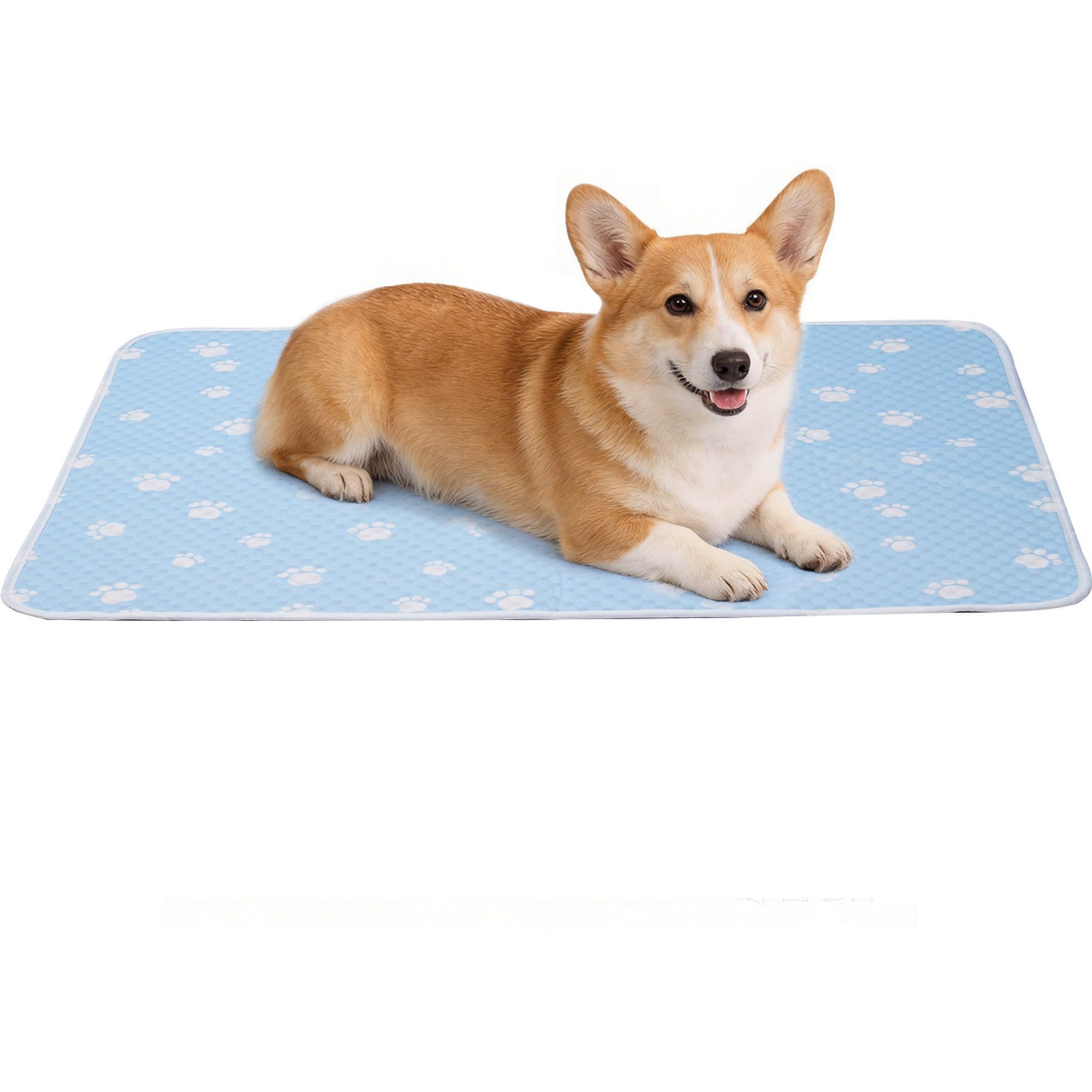Mora Pets Anti-Slip Bottom Summer Cooling Washable Dog Crate Mat Bed, Blue, Medium