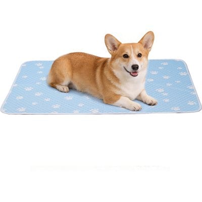 Mora Pets Mora Pets Anti-Slip Bottom Summer Cooling Washable Dog Crate Mat Bed, Blue, Large