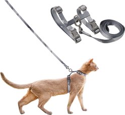 Pidan Phantom Cat Leash & Harness Set, Medium: 10.2 to 16.9-in chest, 4-ft long, 1/2-in wide