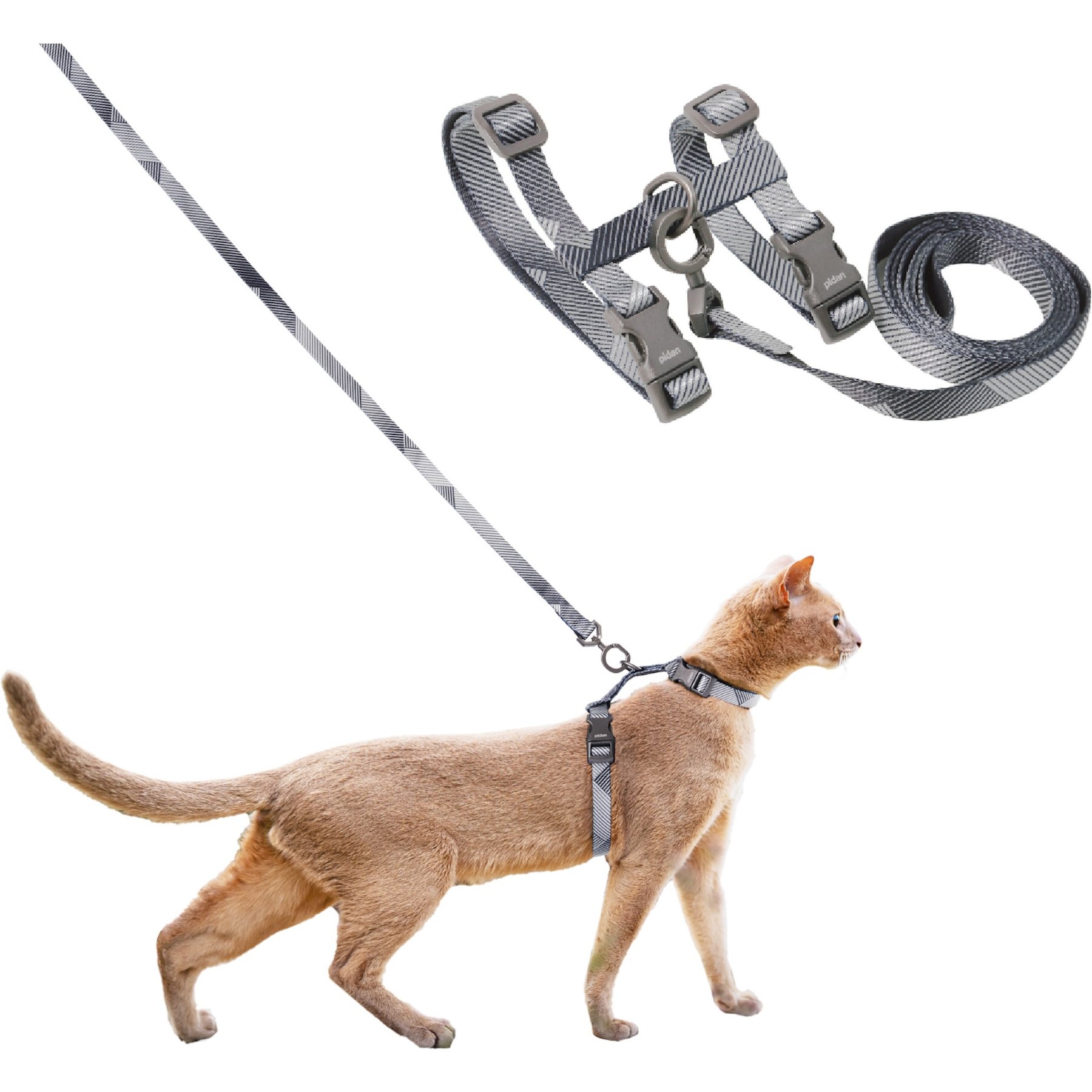 Pidan Phantom Cat Leash & Harness Set, Medium: 10.2 to 16.9-in chest, 4-ft long, 1/2-in wide