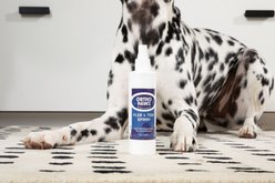 Ortho Pawz All Natural Dog & Cat Flea & Tick Spray, 8-fl oz bottle slide 2 of 2