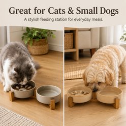 NonoPets Ceramic Slow Feeder with Wood Stand Dog & Cat Bowls, Gray slide 2 of 8