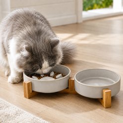 NonoPets Ceramic Slow Feeder with Wood Stand Dog & Cat Bowls, Gray slide 1 of 8